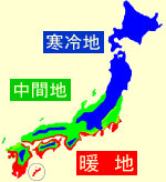 子持ちカンランファミリーセブン 種蒔き時 栽培時期
