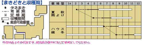 フルティカ中玉トマトの播種期 栽培時期
